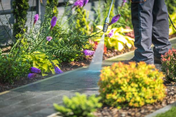Trusted Riva, MD Pressure Washing Services Experts